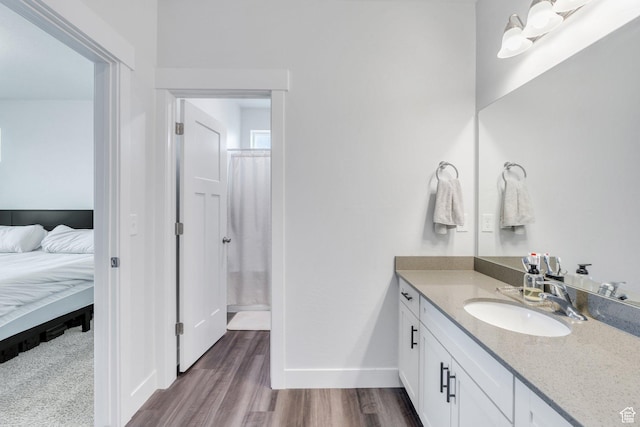 972 W Spider Green Way W Unit E201, Saratoga Springs, UT 84045 - ensuite bathroom with connected bathroom, vanity, baseboards, and wood finished floors