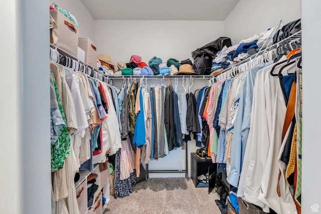 972 W Spider Green Way W Unit E201, Saratoga Springs, UT 84045 - walk in closet with carpet
