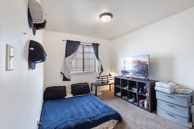 984 N Independence Ave W, Provo, UT 84604 - view of carpeted bedroom