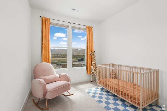 11054 S Lake Run Rd, South Jordan, UT 84009 - photo 28