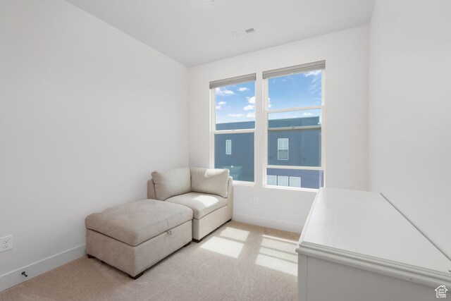 11054 S Lake Run Rd, South Jordan, UT 84009 - photo 29