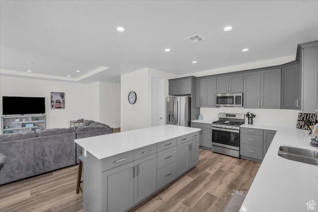 1466 N Arena Roja Dr, Washington, UT 84780 - kitchen featuring gray cabinetry, a kitchen island, open floor plan, light countertops, and appliances with stainless steel finishes