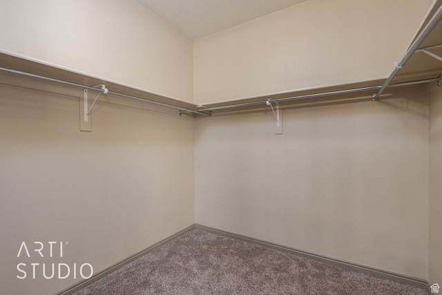 1109 N Ventana Dr, Washington, UT 84780 - walk in closet featuring carpet