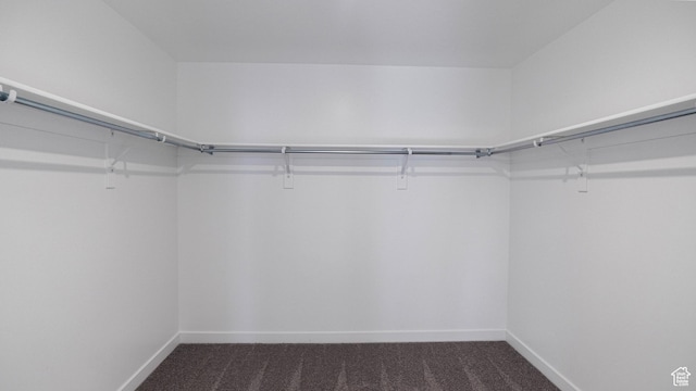 walk in closet with dark colored carpet