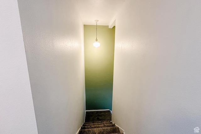 88 W 50 S Unit V-1, Centerville, UT 84014 - stairs with carpet