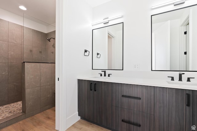 1461 W Canyon Tree Dr, St George, UT 84770 - bathroom featuring wood finished floors, double vanity, a sink, and a walk in shower