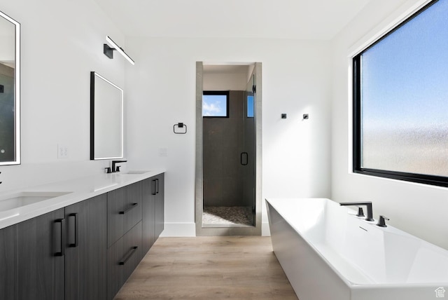 1461 W Canyon Tree Dr, St George, UT 84770 - bathroom featuring double vanity, a soaking tub, a sink, and a healthy amount of sunlight