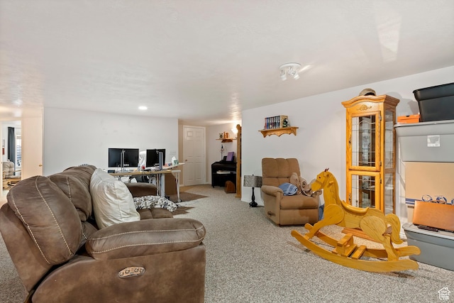 333 S Park St, Grantsville, UT 84029 - living room featuring carpet floors