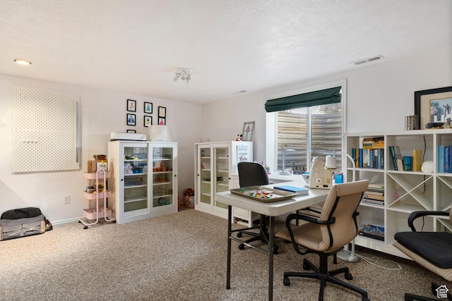 333 S Park St, Grantsville, UT 84029 - carpeted office space featuring visible vents and a textured ceiling