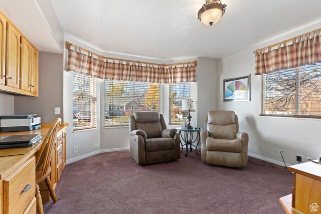 333 S Park St, Grantsville, UT 84029 - office with built in desk, dark carpet, and baseboards