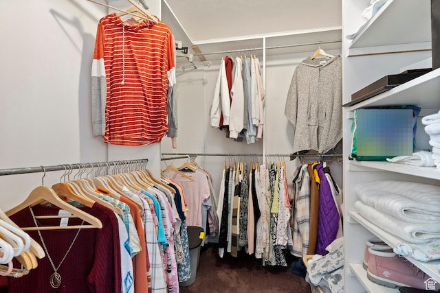 333 S Park St, Grantsville, UT 84029 - walk in closet with carpet