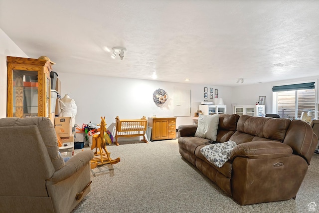 333 S Park St, Grantsville, UT 84029 - living room with a textured ceiling and carpet flooring
