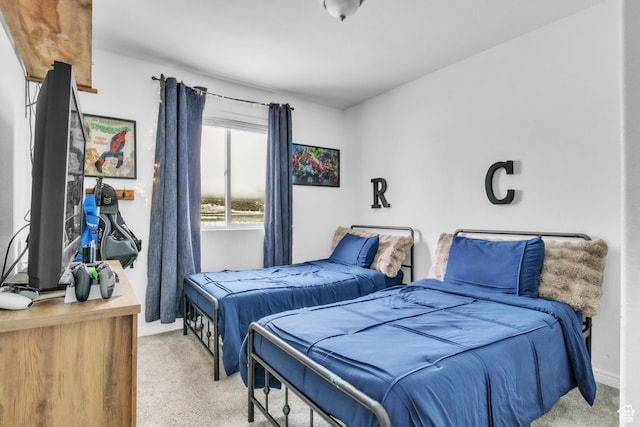 33841 N 7925 E, Fairview, UT 84629 - bedroom with light carpet and baseboards