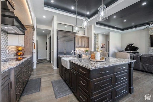 3052 N Snow Canyon Pkwy Unit 201, St George, UT 84770 - kitchen with a tray ceiling, decorative light fixtures, a center island with sink, a sink, and extractor fan