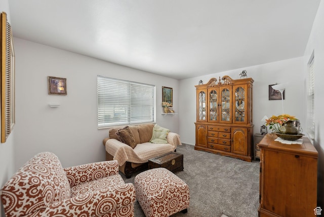 living room with carpet flooring