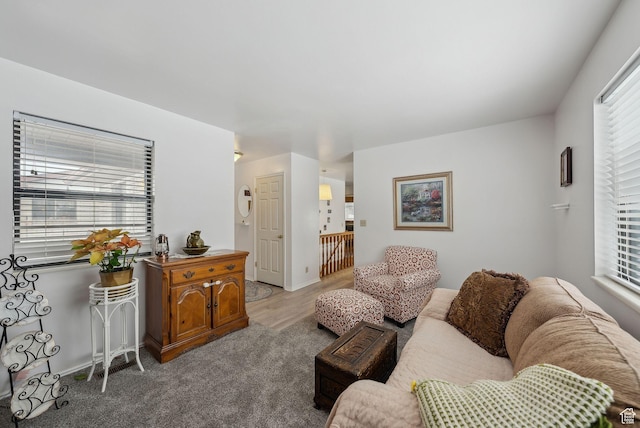 carpeted living room with a wealth of natural light