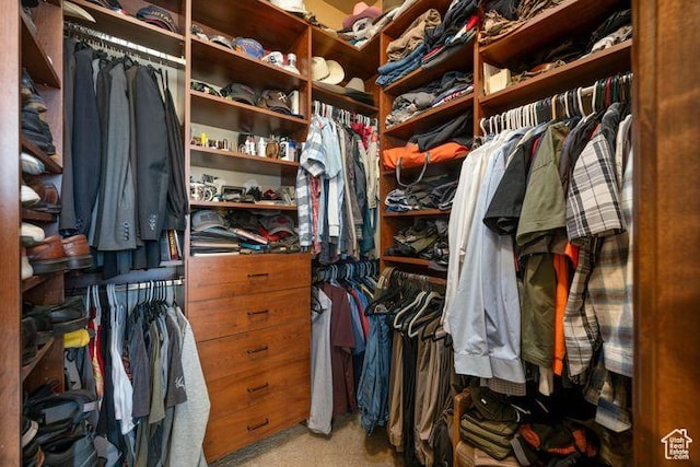 walk in closet with light carpet