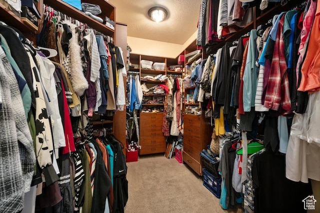 spacious closet with light colored carpet