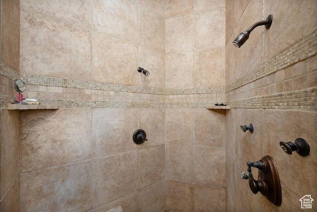 room details with tiled shower