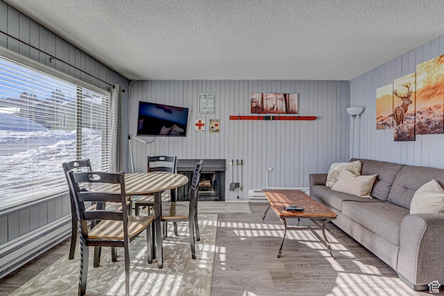 356 S S Hwy Unit A-1, Brian Head, UT 84719 - living room featuring a baseboard heating unit, a fireplace, a textured ceiling, and wood finished floors