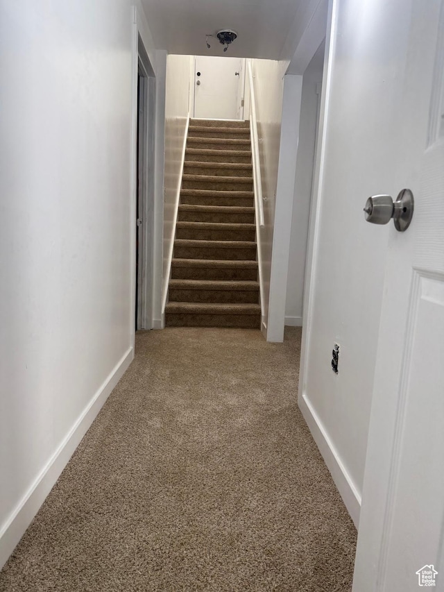 4129 S 3600 W, West Valley City, UT 84119 - stairway featuring carpet flooring and baseboards