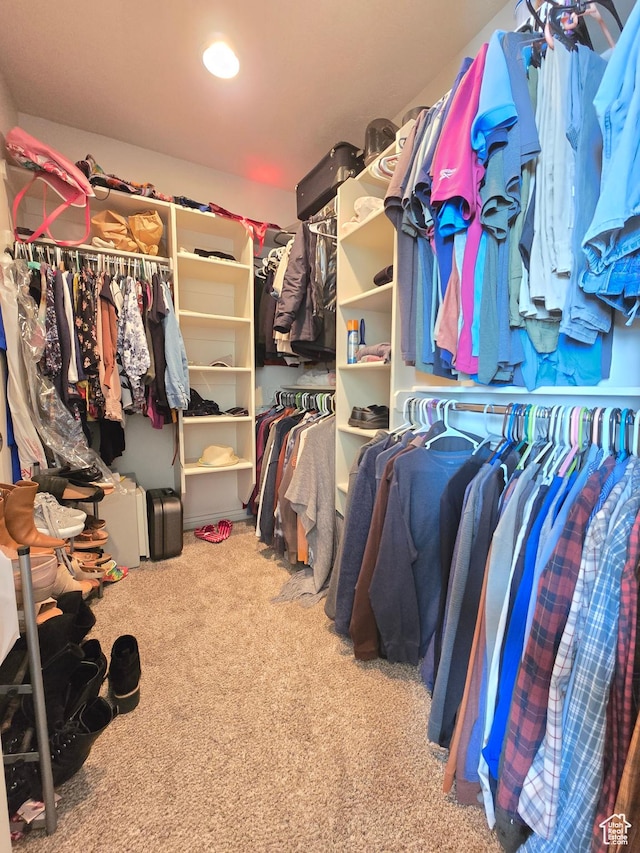 935 W 2100 N, Pleasant View, UT 84404 - walk in closet featuring carpet floors