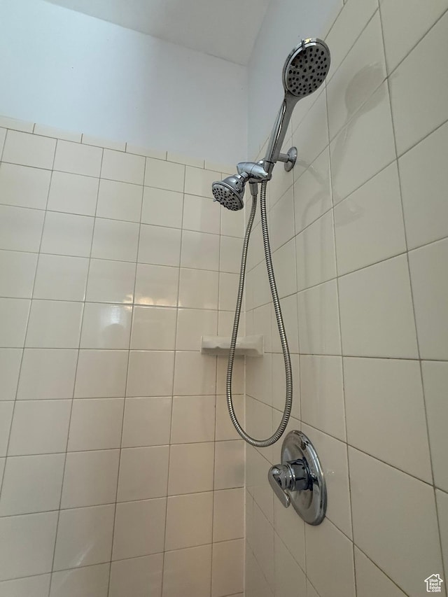 room details with tiled shower