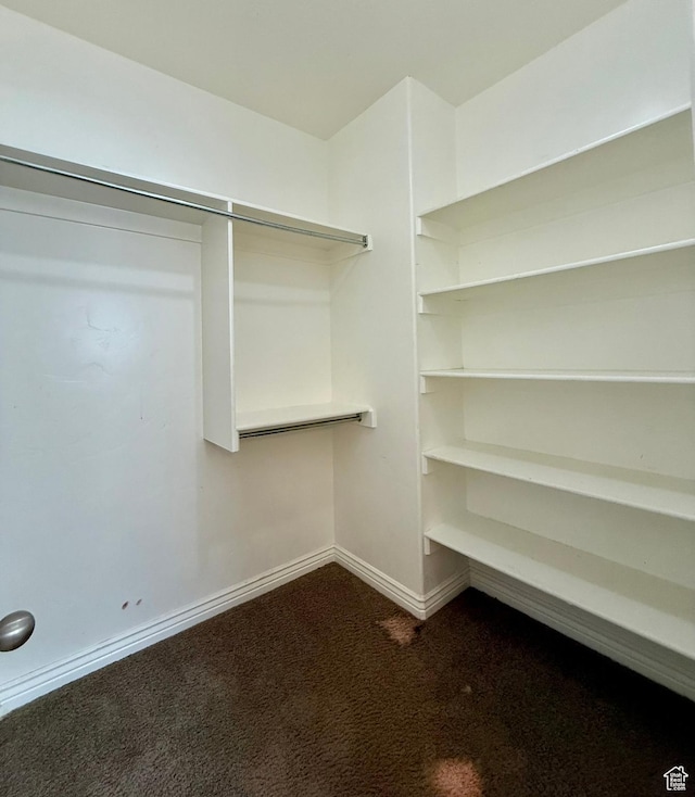 walk in closet featuring dark colored carpet