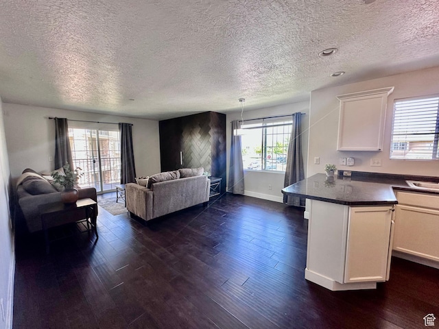 196 E Spencer Peak Way E Unit D6, Draper, UT 84020 - living room featuring a textured ceiling and dark wood-style floors