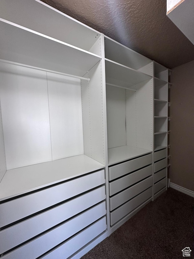 196 E Spencer Peak Way E Unit D6, Draper, UT 84020 - spacious closet with dark carpet