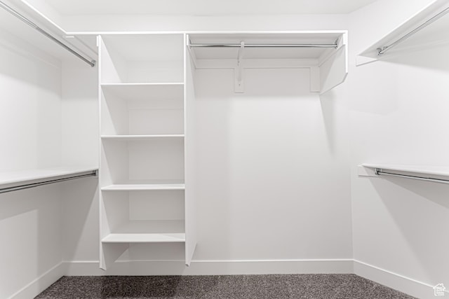 716 W 4500 S Unit 302, Mapleton, UT 84664 - view of walk in closet