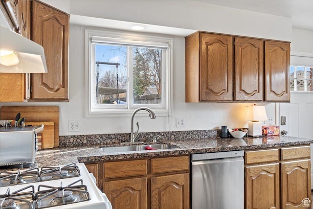 kitchen featuring stainless steel dishwasher, a sink, brown cabinetry, and healthy amount of natural light