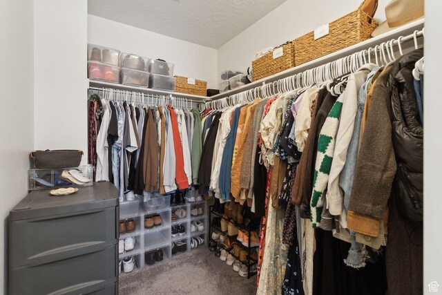 4473 E Hurstbourne Dr, Eagle Mountain, UT 84005 - spacious closet with carpet flooring