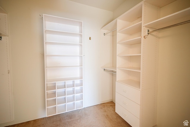 524 S Oak Ln W Unit 3, Tooele, UT 84074 - walk in closet with carpet floors