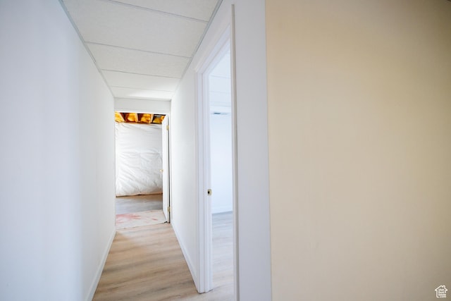 524 S Oak Ln W Unit 3, Tooele, UT 84074 - hallway featuring light wood-type flooring, a drop ceiling, and baseboards