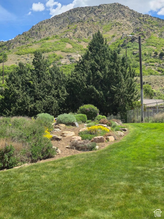 view of mountain backdrop