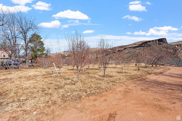 view of yard with a mountain view