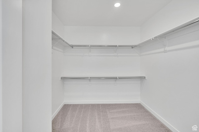 376 W Emma St Unit 623, Grantsville, UT 84029 - spacious closet with carpet flooring