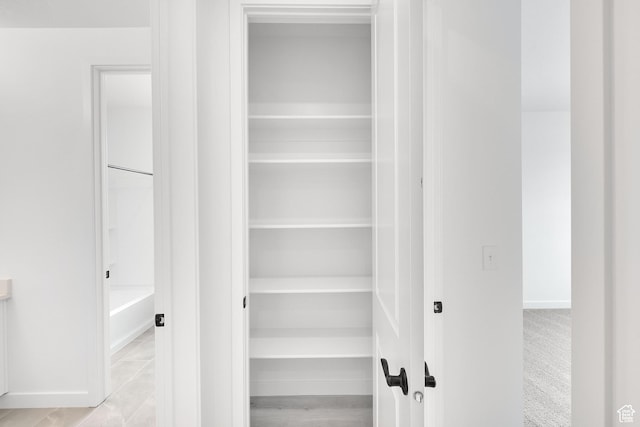 376 W Emma St Unit 623, Grantsville, UT 84029 - view of closet