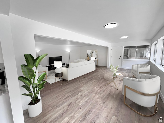 living room with light wood-type flooring