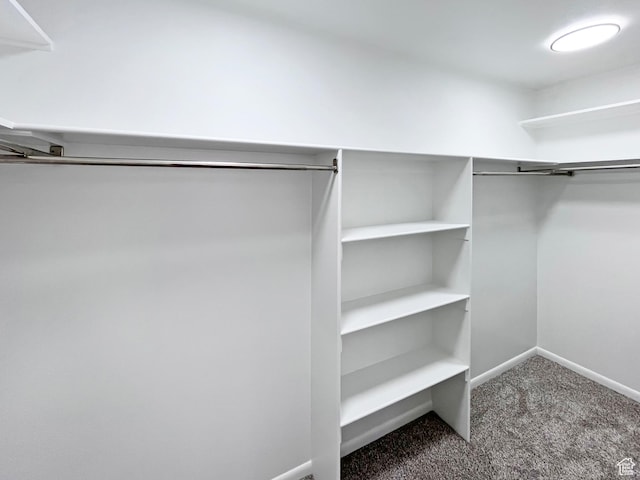 spacious closet featuring dark carpet