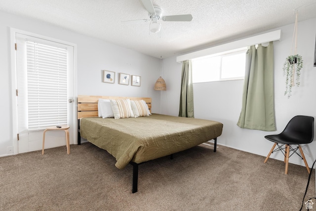 750 N 100 W, Logan, UT 84321 - bedroom with carpet flooring, a textured ceiling, and ceiling fan