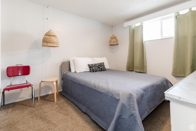 750 N 100 W, Logan, UT 84321 - bedroom featuring carpet floors