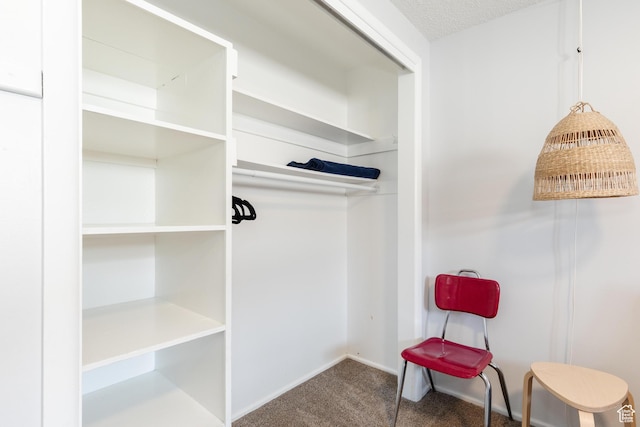 750 N 100 W, Logan, UT 84321 - view of closet