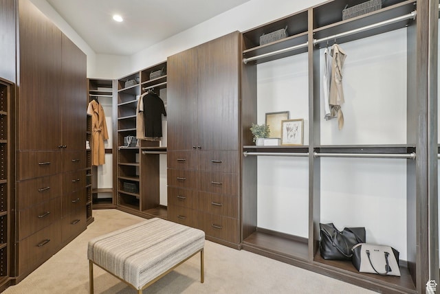 spacious closet with light carpet