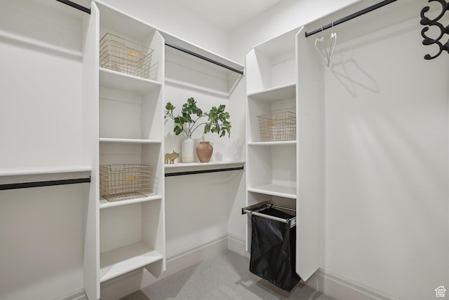 walk in closet featuring light carpet