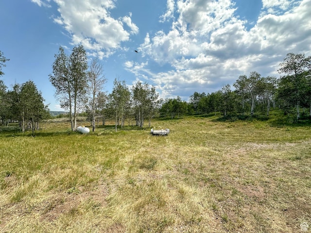 view of yard with a rural view