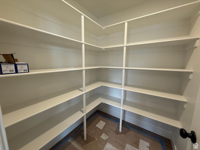 4111 N Ophir Dr, Eagle Mountain, UT 84005 - view of pantry
