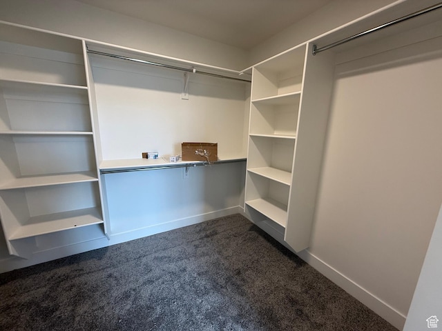 4111 N Ophir Dr, Eagle Mountain, UT 84005 - spacious closet featuring dark carpet