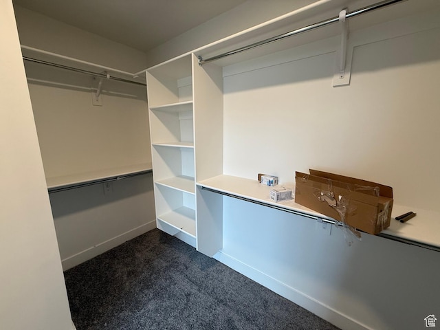 4111 N Ophir Dr, Eagle Mountain, UT 84005 - walk in closet with dark carpet